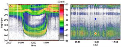 The Mesopelagic Scattering Layer: A Hotspot for Heterotrophic Prokaryotes in the Red Sea Twilight Zone